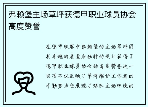 弗赖堡主场草坪获德甲职业球员协会高度赞誉